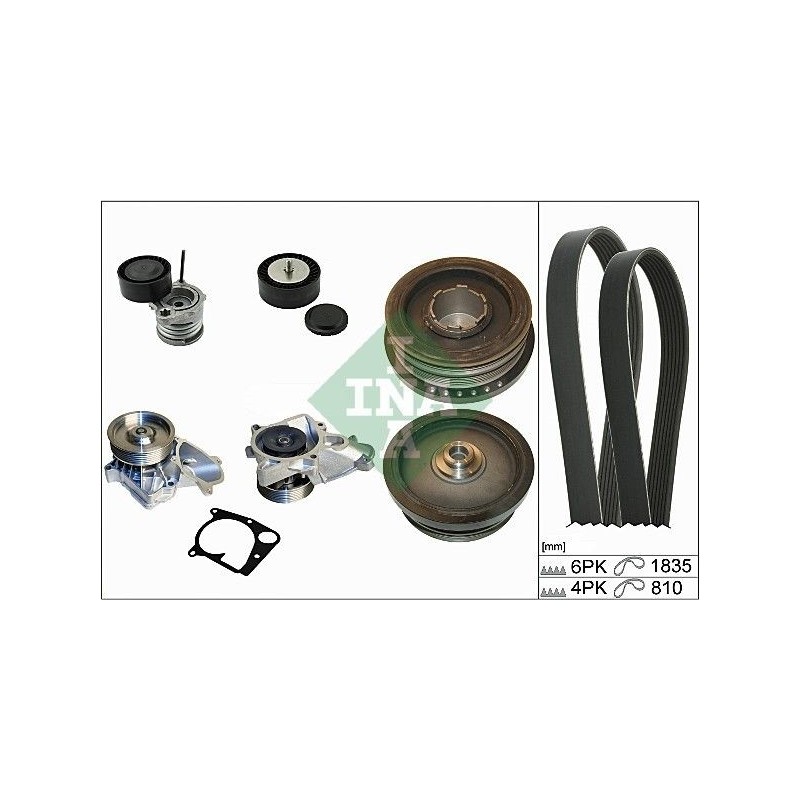 INA 529 0021 30 Water Pump + V-Ribbed Belt Kit