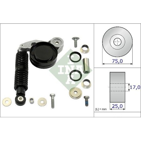 INA 533 0118 10 Repair Kit- v-ribbed belt tensioner
